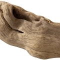 چوب دریفتDriftwood