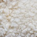 پشم Wool