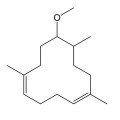 لورنوکسLorenox